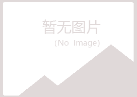 湖北冰夏采矿有限公司